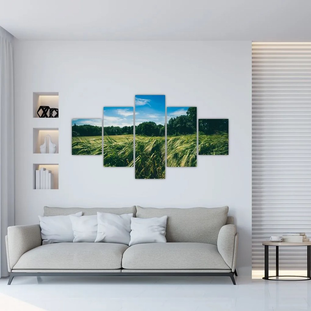 Obraz łąki i lasu (125x70 cm)