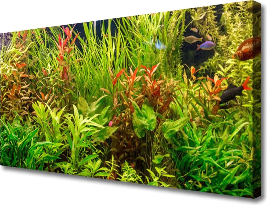 Zdjęcie na płótnie Podwodny Świat Akwarium