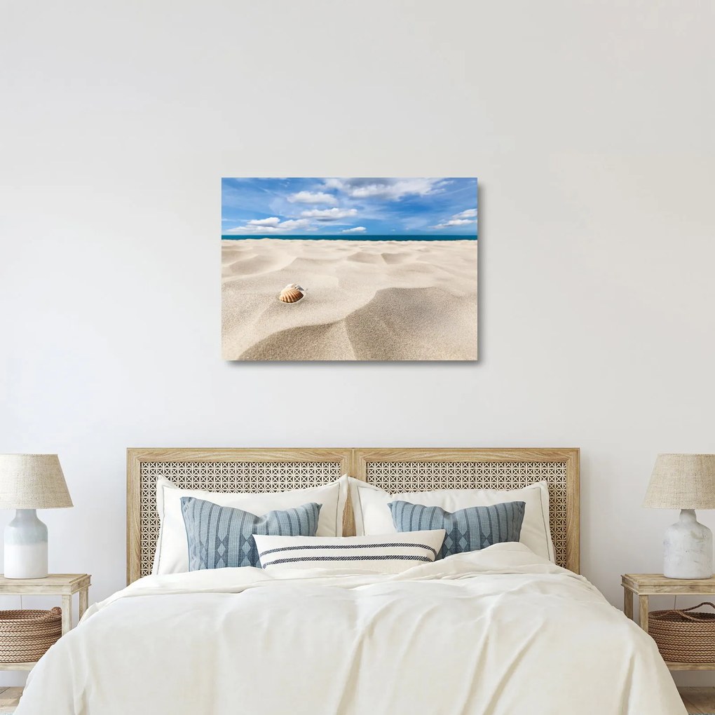 Obraz na szkle - Muszle na plaży (70x50 cm)