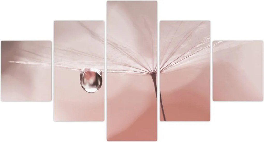 Obraz - Kropla rosy (125x70 cm)