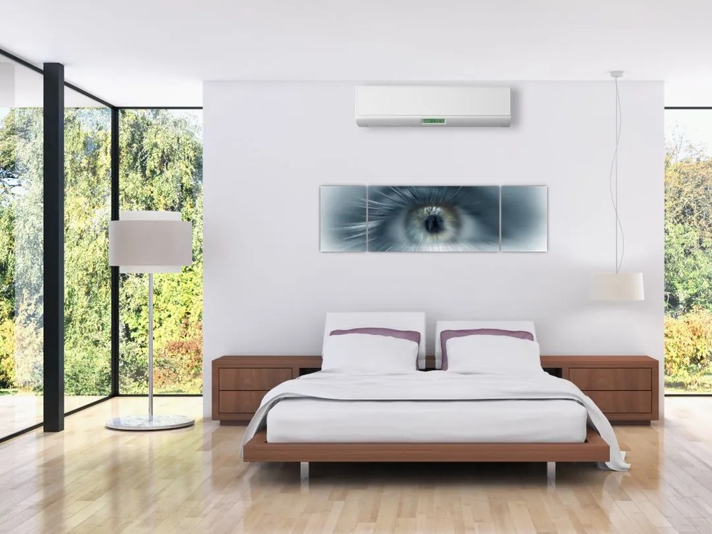 Obraz - Widok oka (170x50 cm)