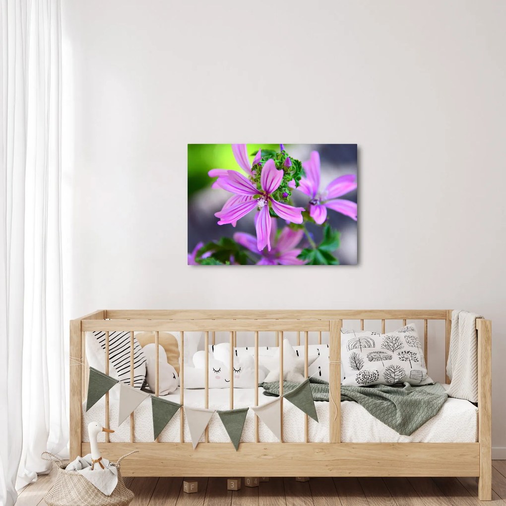 Zbliżenie kwiatu (70x50 cm)