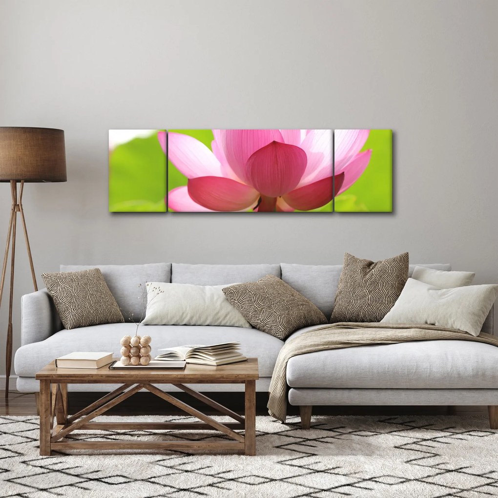 Obraz kwiatu lotosu (170x50 cm)