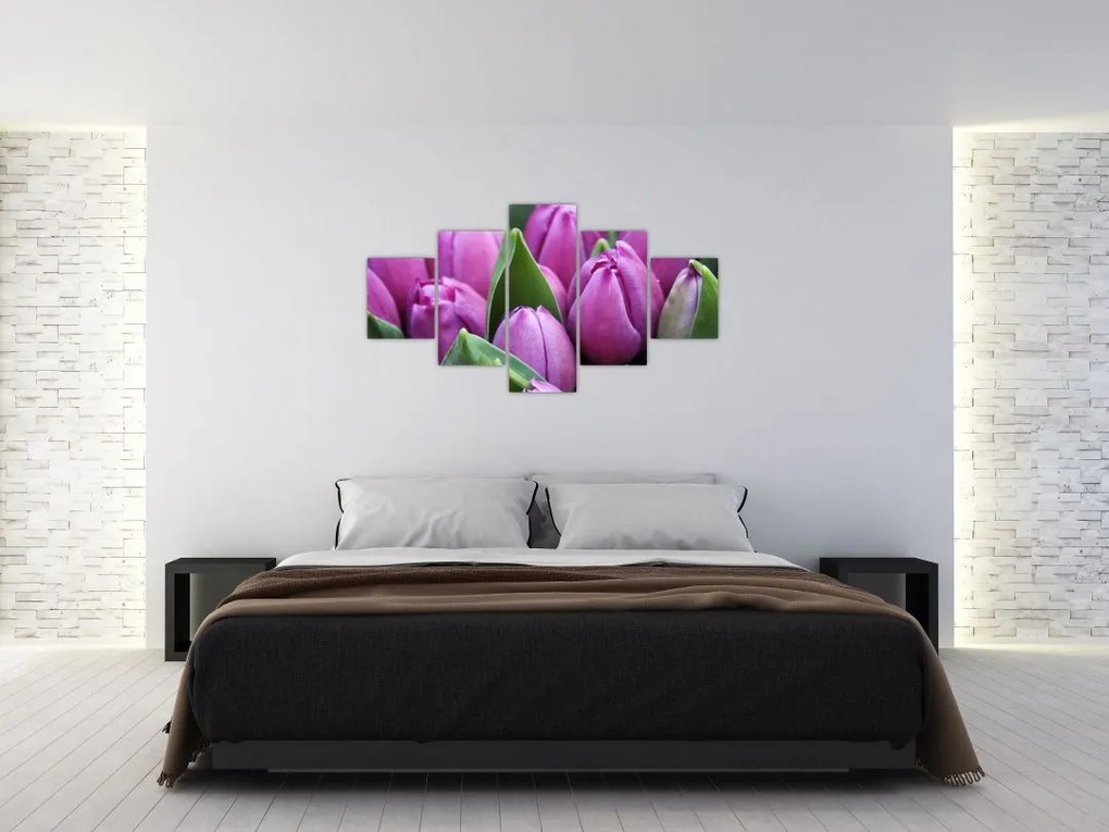 Obraz - kwiaty tulipanów (125x70 cm)
