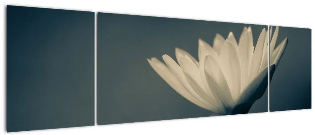 Obraz kwiatu (170x50 cm)
