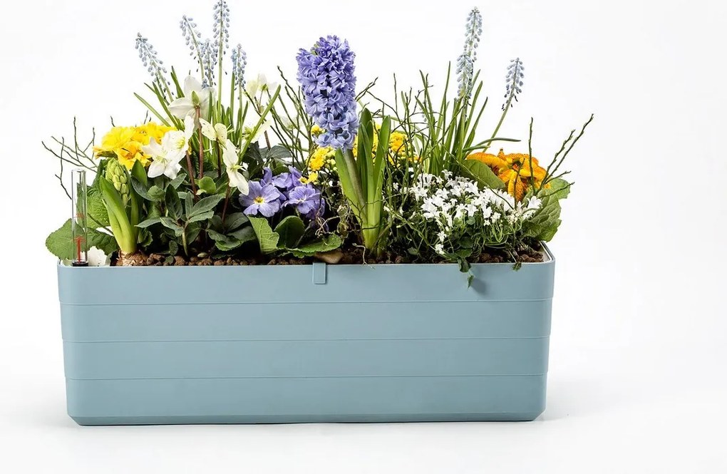 PlastiaSkrzynka samonawadniająca Berberis 60, szaro-niebieski + biały, 60 cm