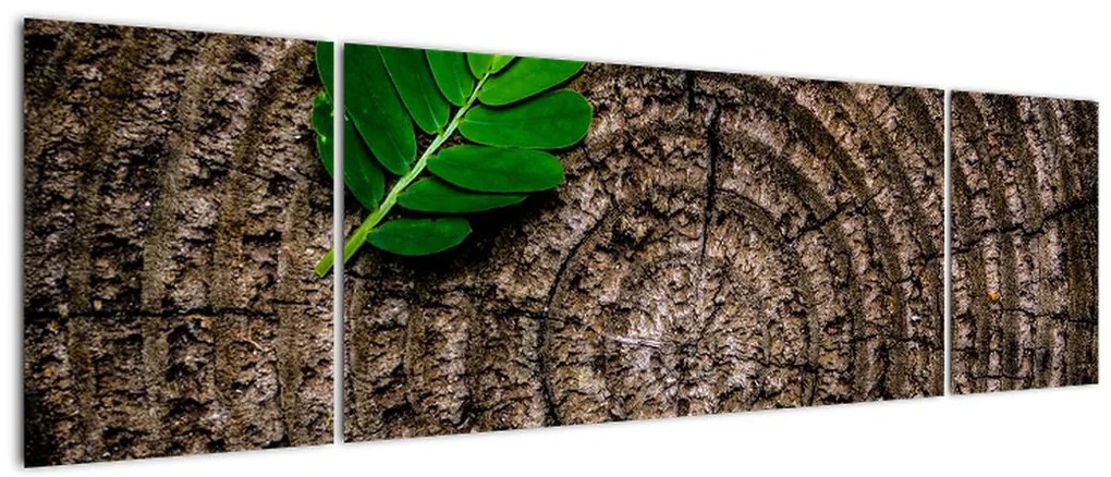 Obraz liścia na pniu drzewa (170x50 cm)