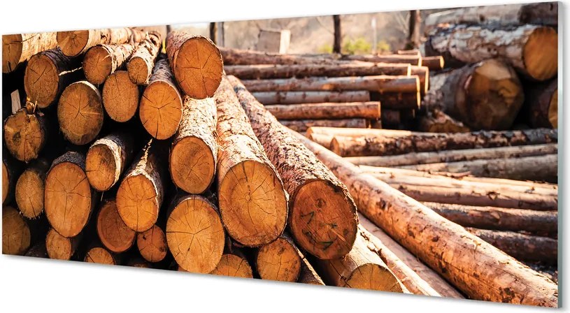 Szklany Panel Składowisko Drewnianych Bali