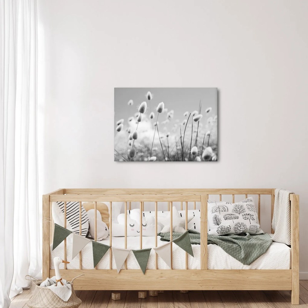 Obraz - Trawa z ogonkiem króliczka Boho (70x50 cm)