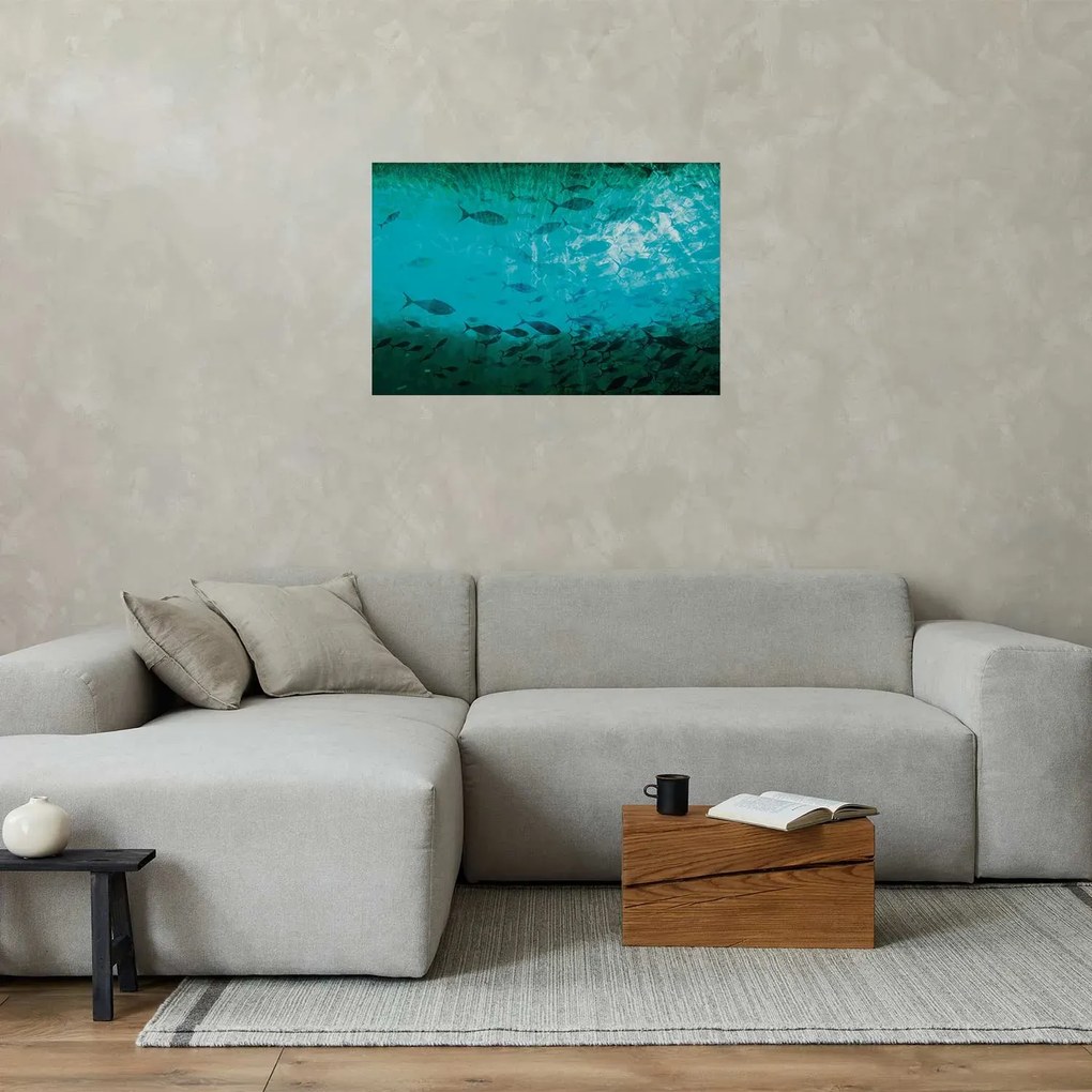 Plakat Gromada ryb 60x40 cm bez ramy bez marginesu ARTGEIST B