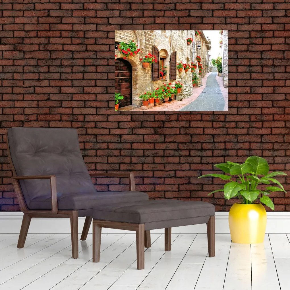 Obraz - Malownicza włoska aleja (70x50 cm)