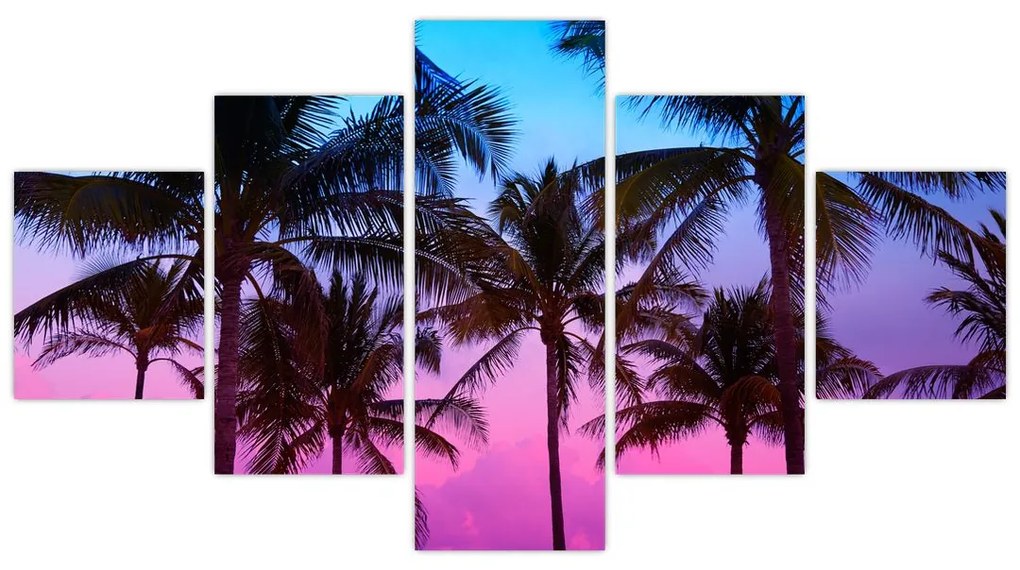 Obraz - Palmy w Miami (125x70 cm)