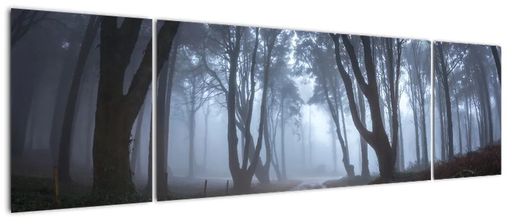 Obraz - W deszczowy dzień (170x50 cm)