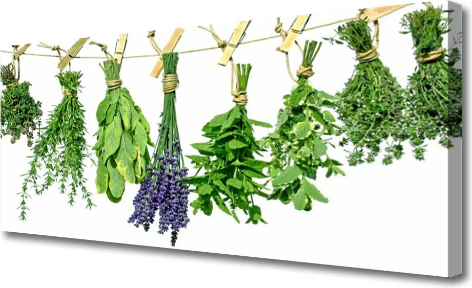 Obraz canvas na ścianę Płatki Ziół i Kwiatów