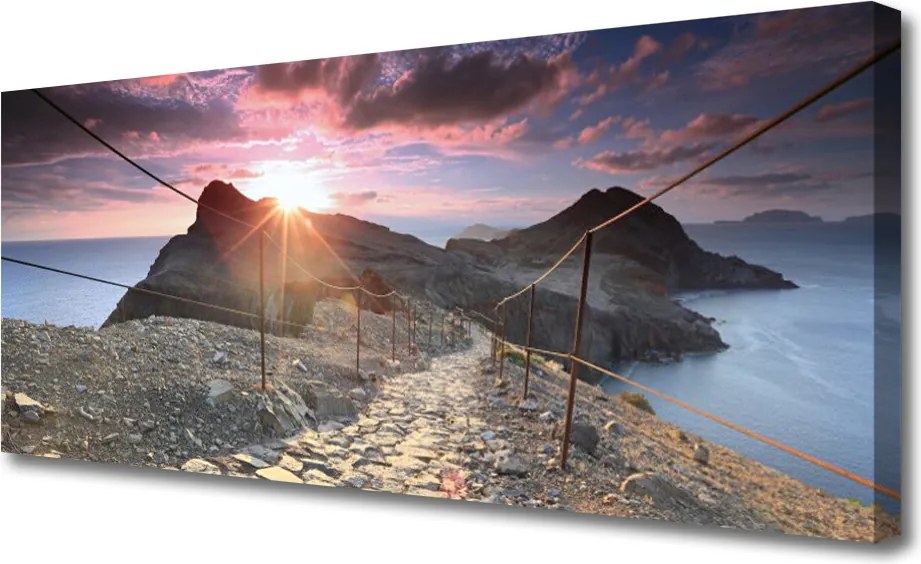 Obraz canvas Kolorowe Aksamitne Bratki