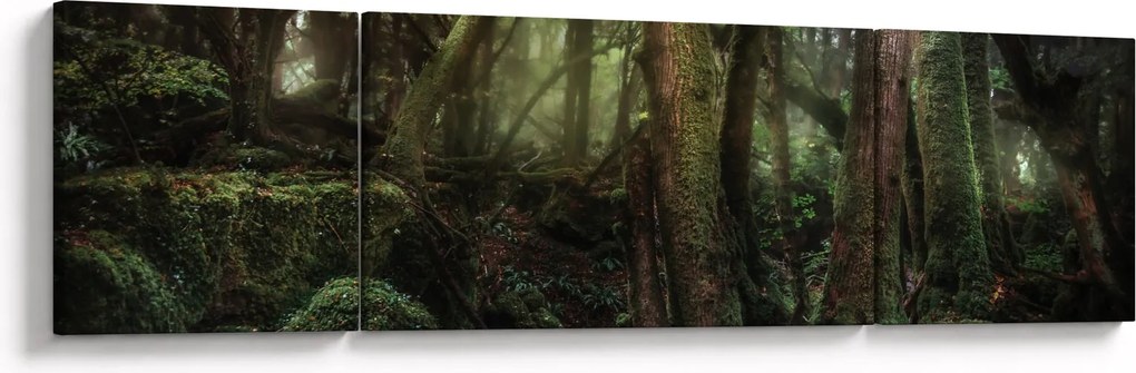 Obraz - Tajemniczy las (170x50 cm)