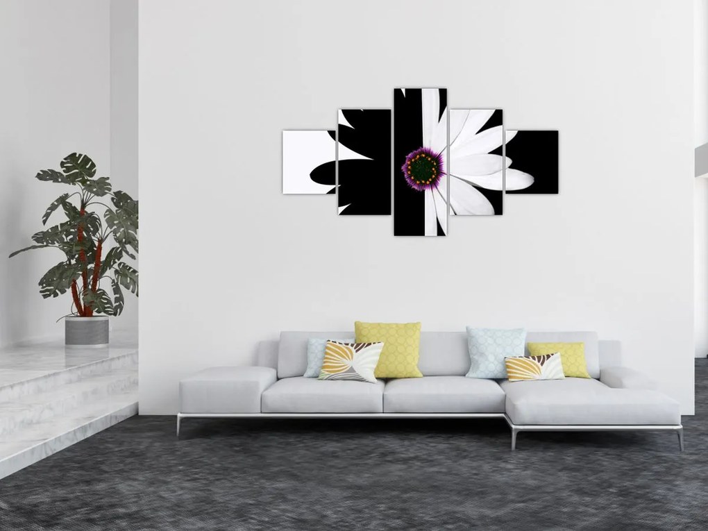 Obraz czarno - białego kwiatu (125x70 cm)