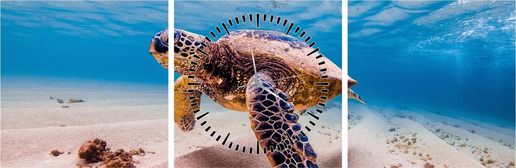 Obraz żółwia w oceanie (z zegarem) (90x30 cm)