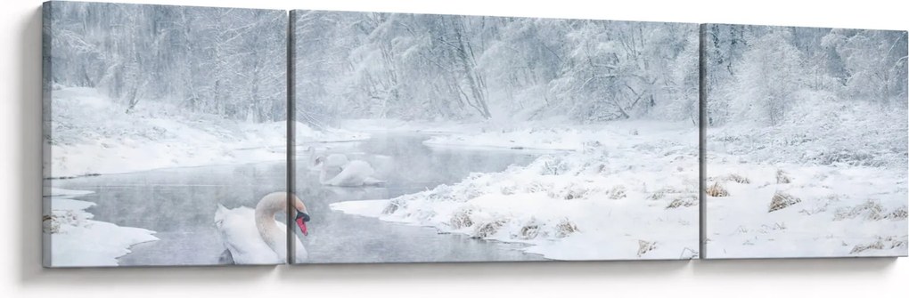 Obraz łabędzi (170x50 cm)