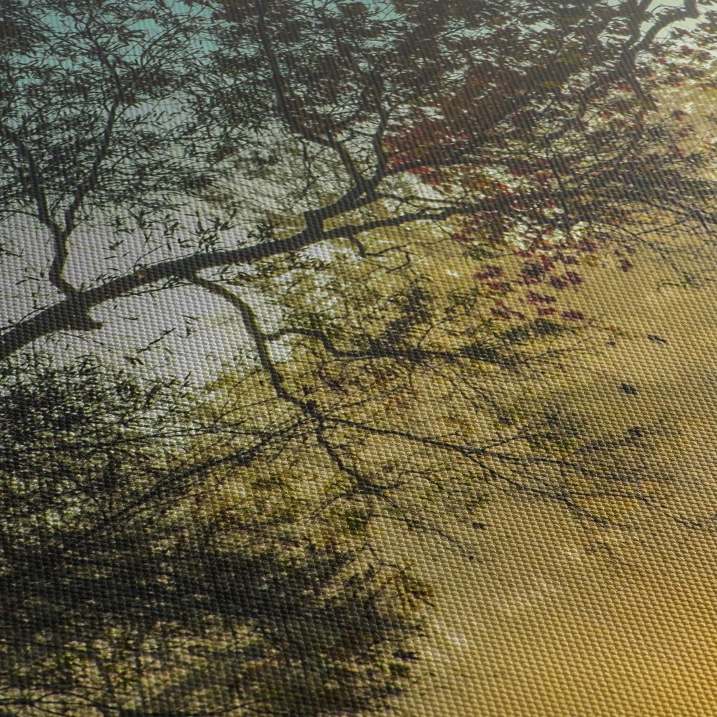 Obraz wschodu słońca (70x50 cm)