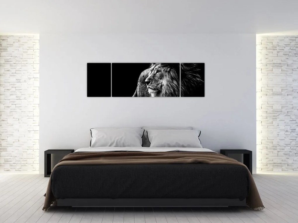 Obraz - Lew, czarno-biały (170x50 cm)