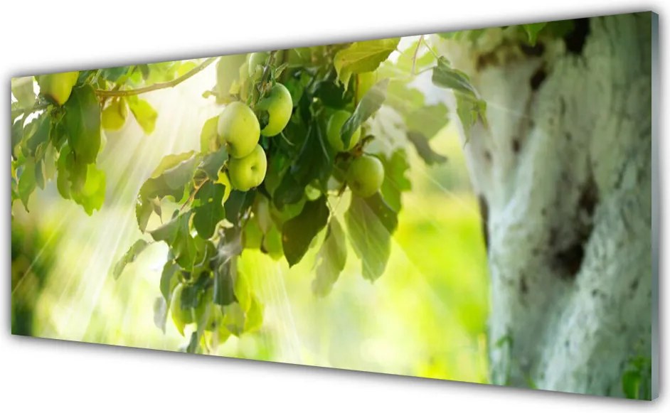 Panel Szklany Dojrzałe Jabłka Na Gałęzi