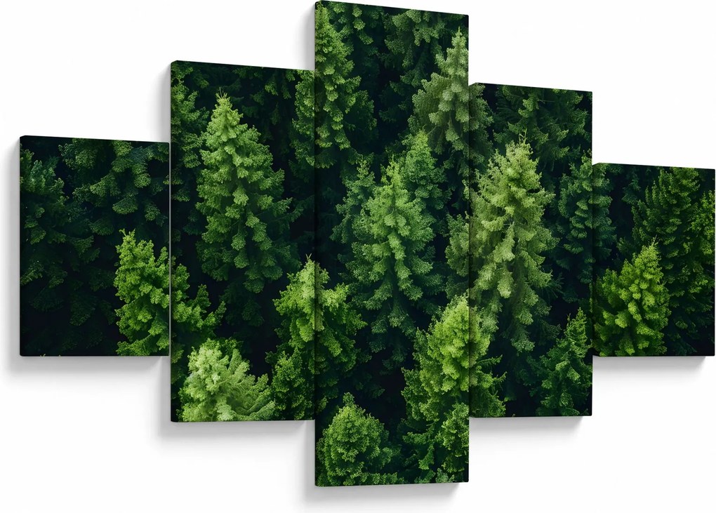 Obraz - Las (125x70 cm)