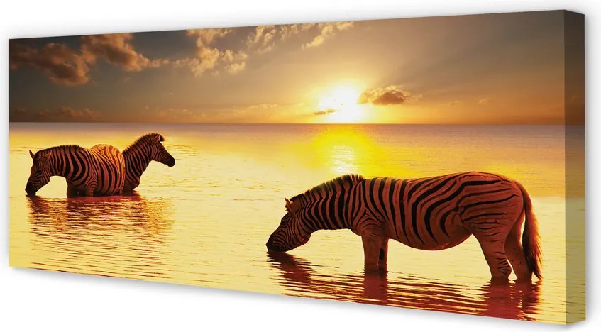 Obraz na płótnie Zebry w Wodzie o Zachodzie Słońca