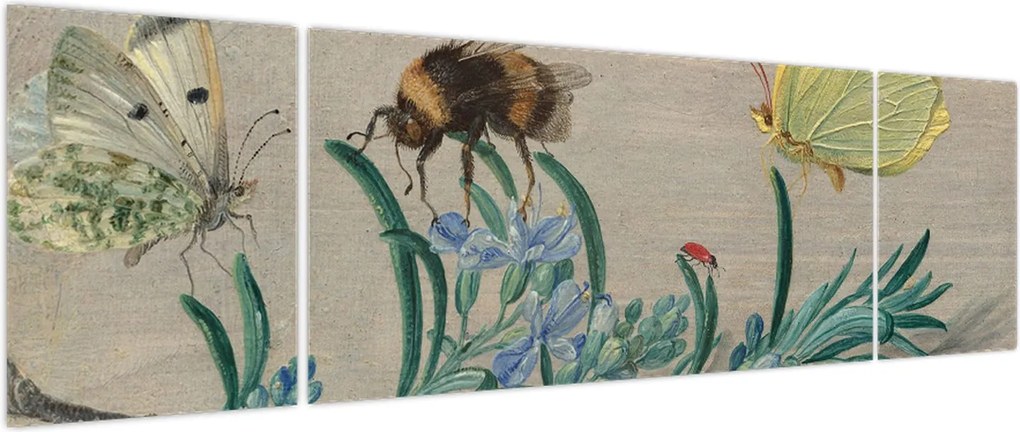Obraz - Jan van Kessel the Elder, Insects and a Sprig of Rosemary, reprodukcje (170x50 cm)