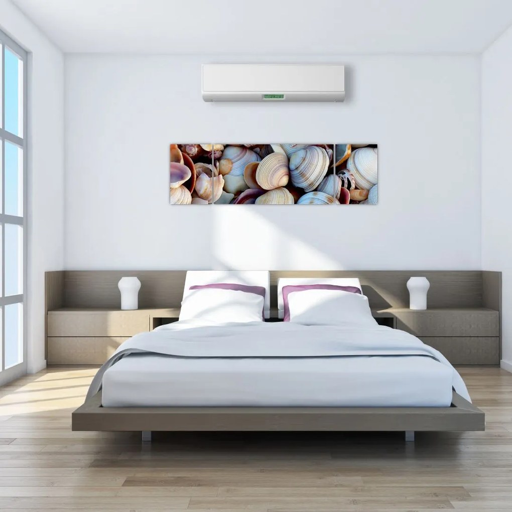Obraz muszelek (170x50 cm)