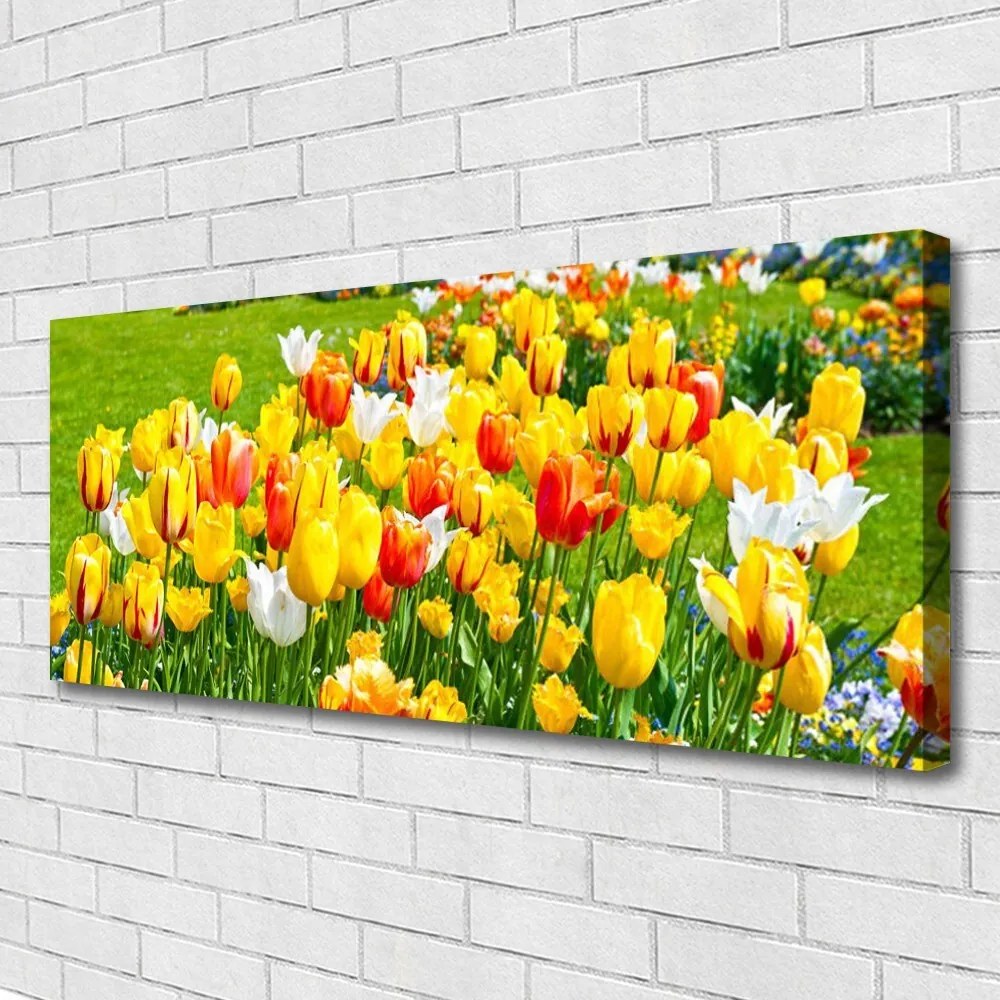 Obraz Canvas Tulipany Kwiaty Natura