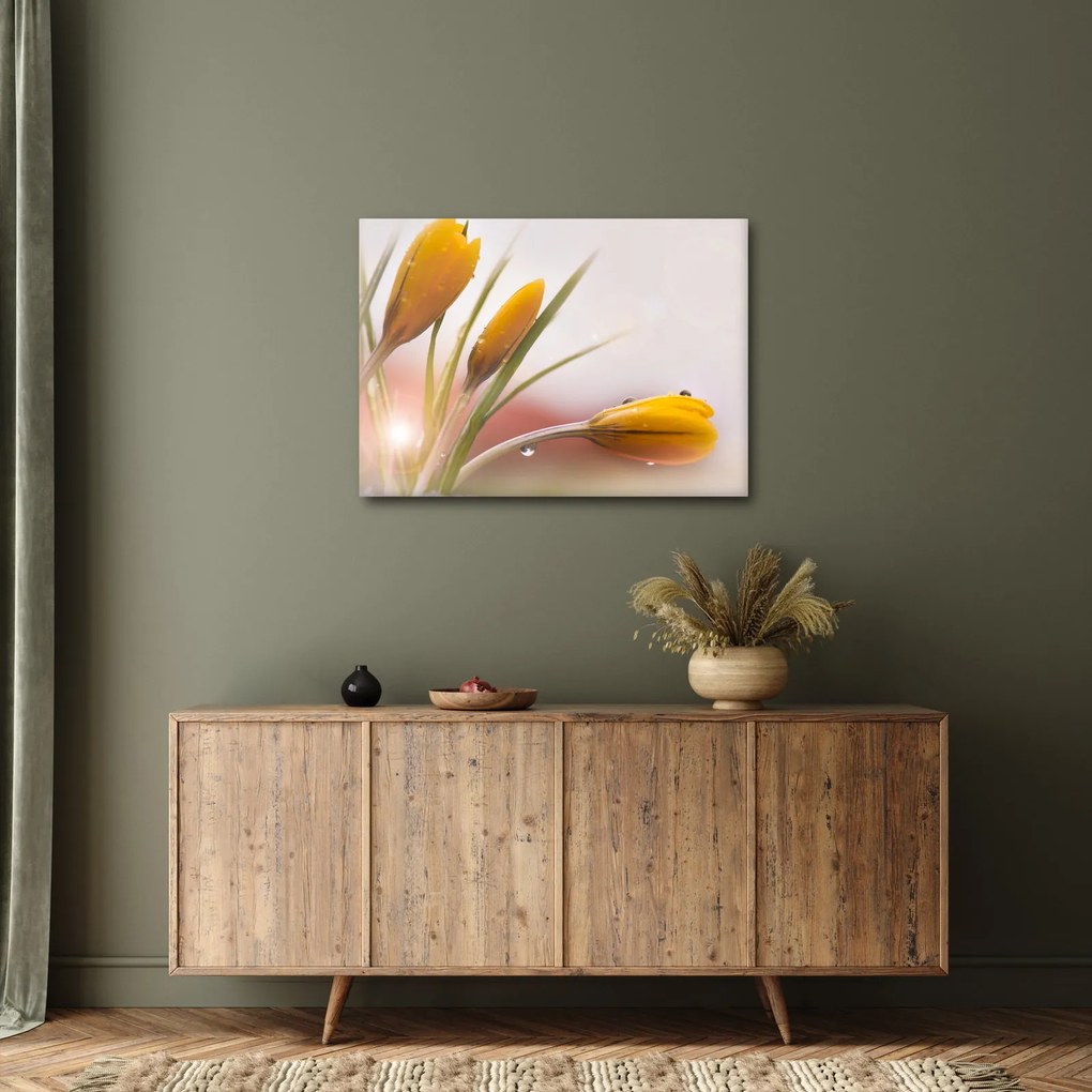Obraz - Wiosenne kwiaty (70x50 cm)