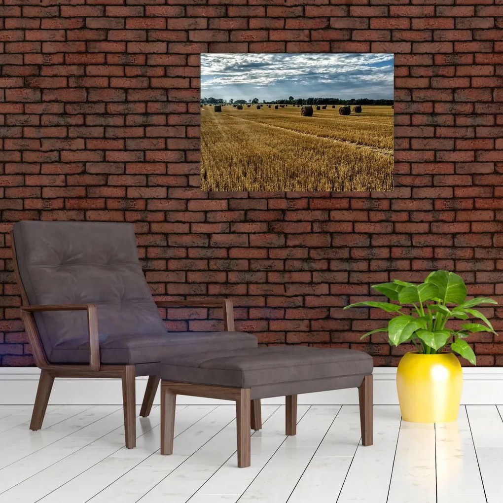 Obraz zebranego pola zboża (70x50 cm)