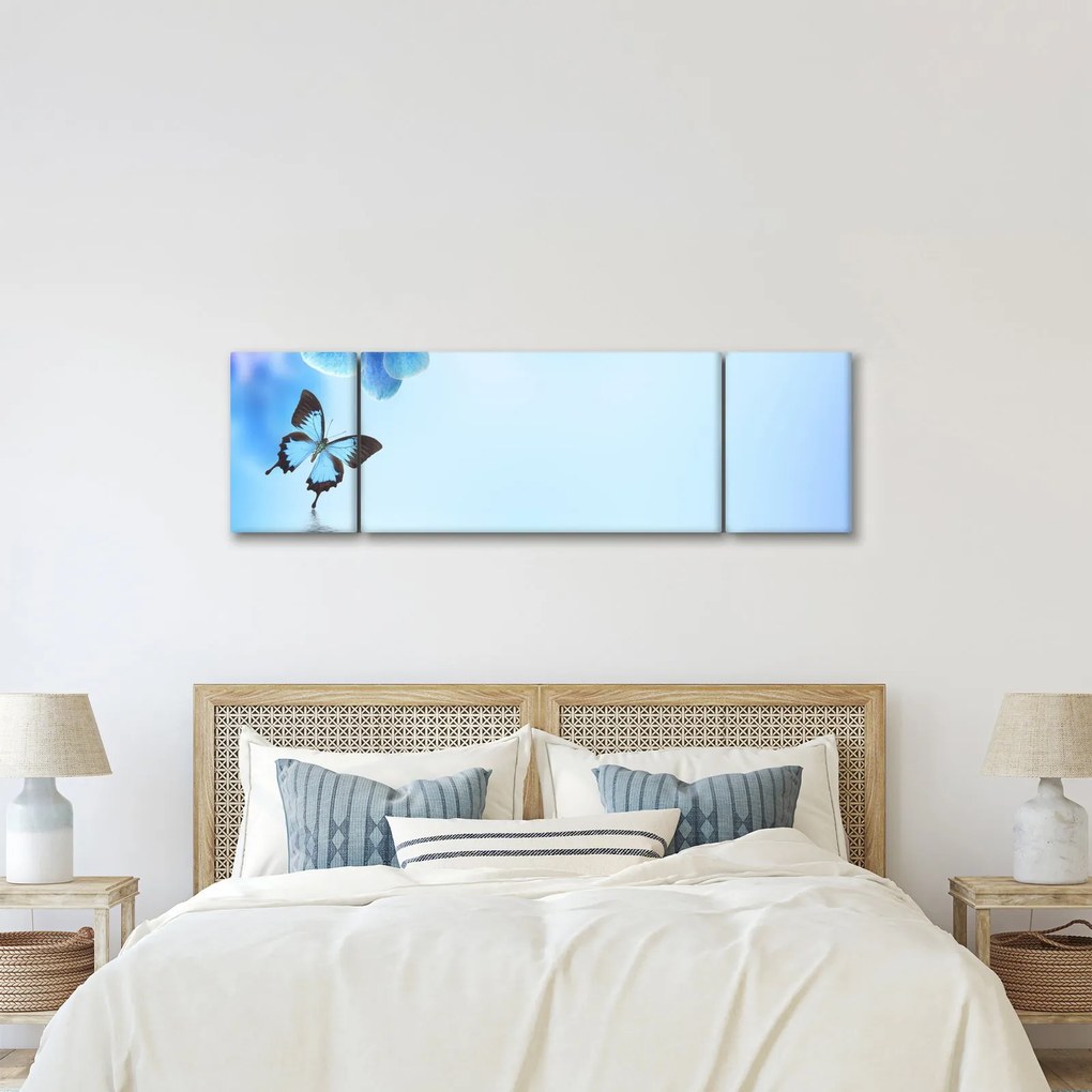 Obraz - Motyl na kwiatach orchidei, niebieski (170x50 cm)