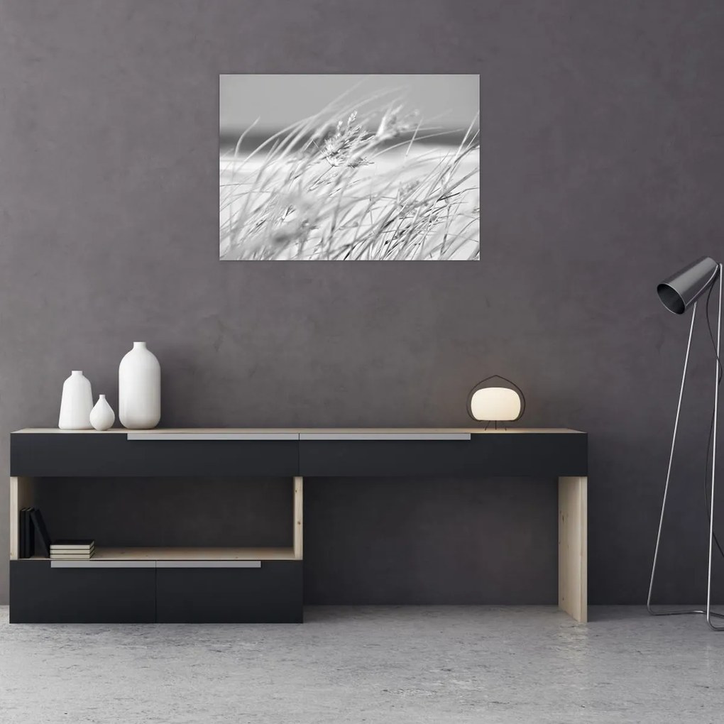 Obraz na szkle - Trawa plażowa (70x50 cm)