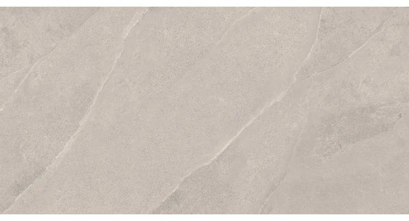 Mexen Aryan Silver gres szkliwiony rekt. G1, płytka podłogowo-ścienna 120 x 60 cm, mat - TL310-120-060-05