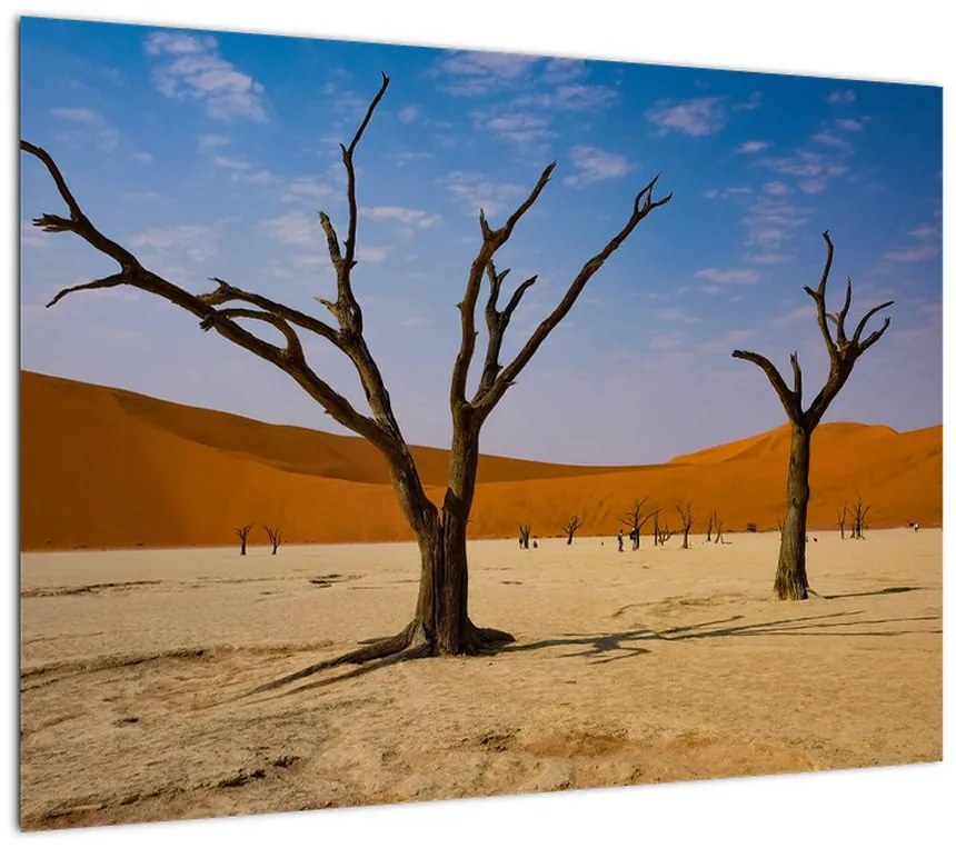 Obraz na szkle - Dolina Śmierci (70x50 cm)