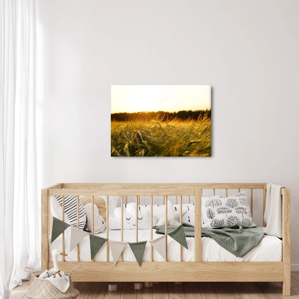 Obraz zroszonej trawy (70x50 cm)