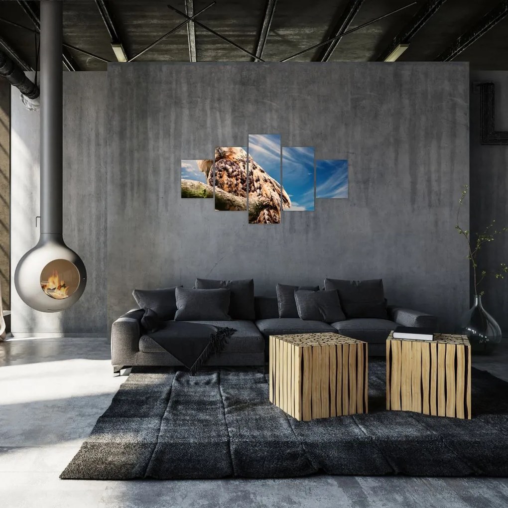 Obraz - Sowa (125x70 cm)