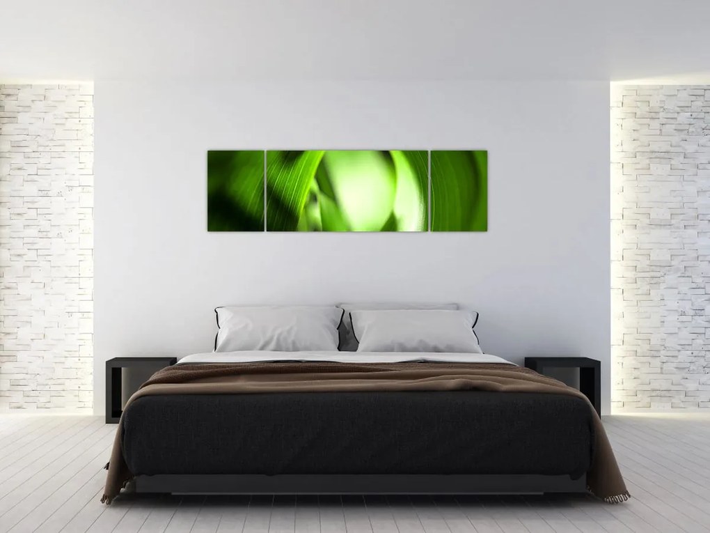 Obraz - Źdźbło trawy (170x50 cm)