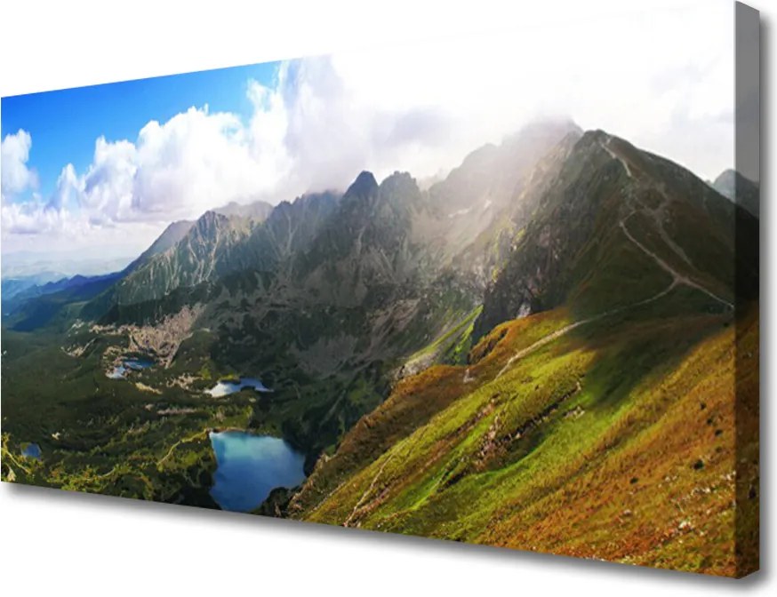 Zdjęcie na płótnie Pierwsze Tchnienie Wiosny: Przebiśnieg