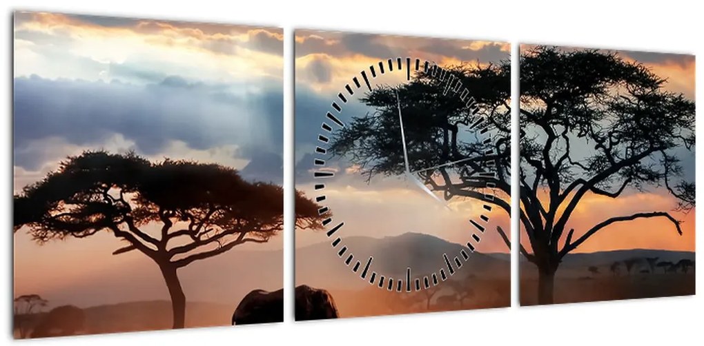 Obraz - Park Narodowy Serengeti, Tanzania, Afryka (z zegarem) (90x30 cm)