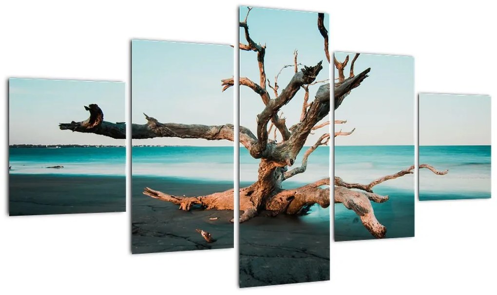 Obraz -  Wyłowiono na plaży (125x70 cm)