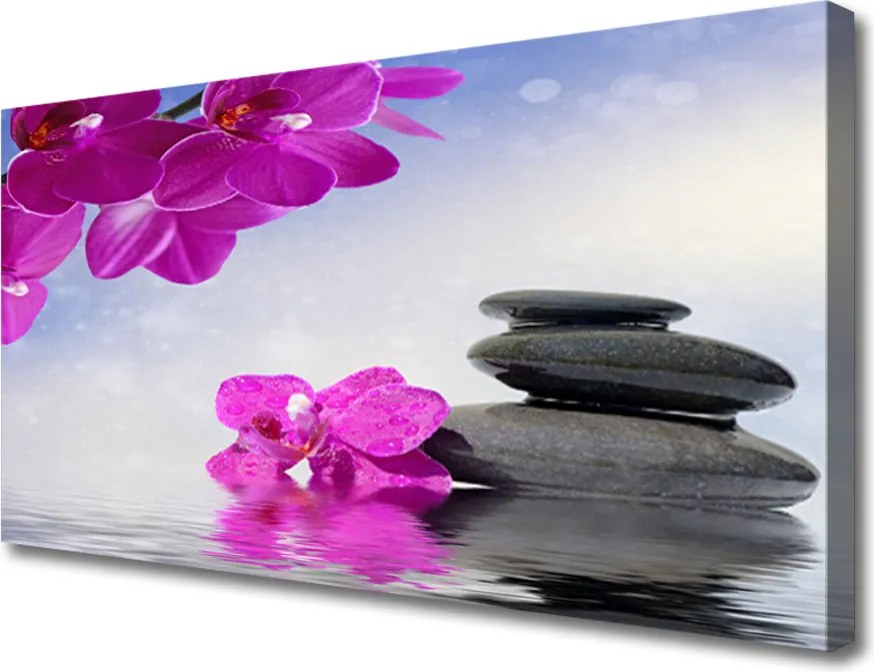 Obraz na płótnie Egzotyczna Kompozycja Storczyków