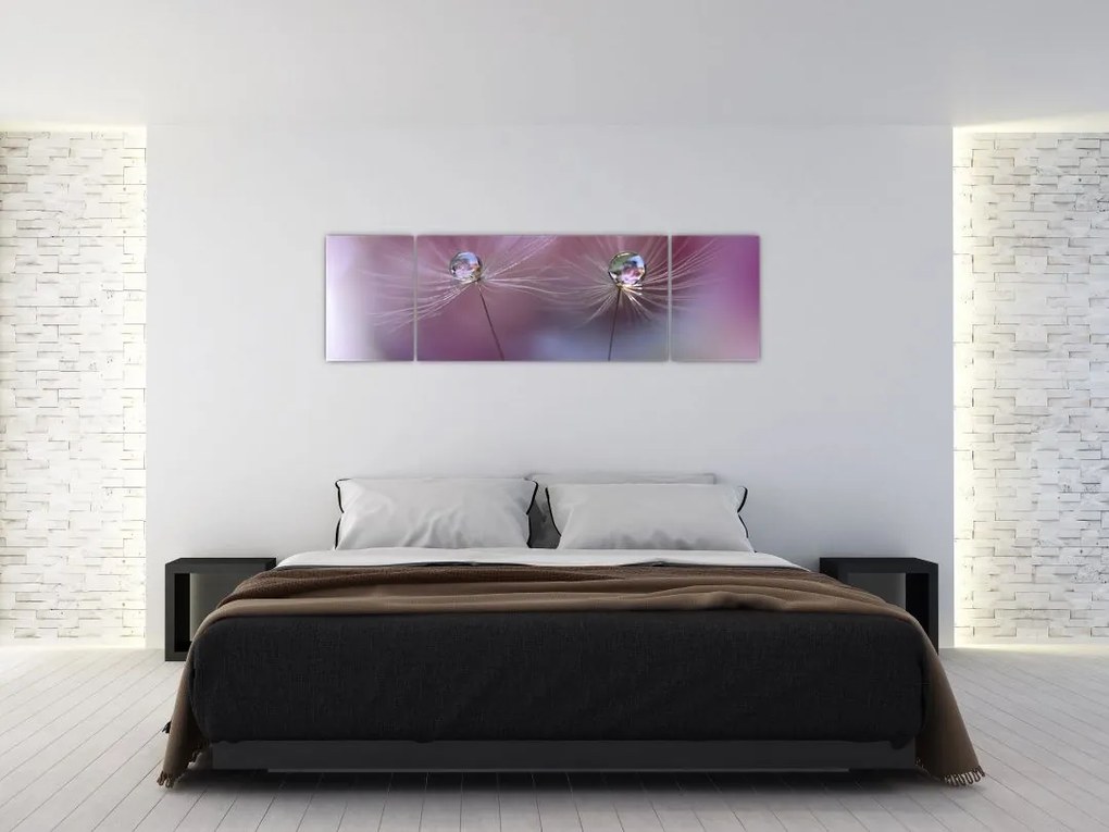 Obraz kropelek na puchu (170x50 cm)
