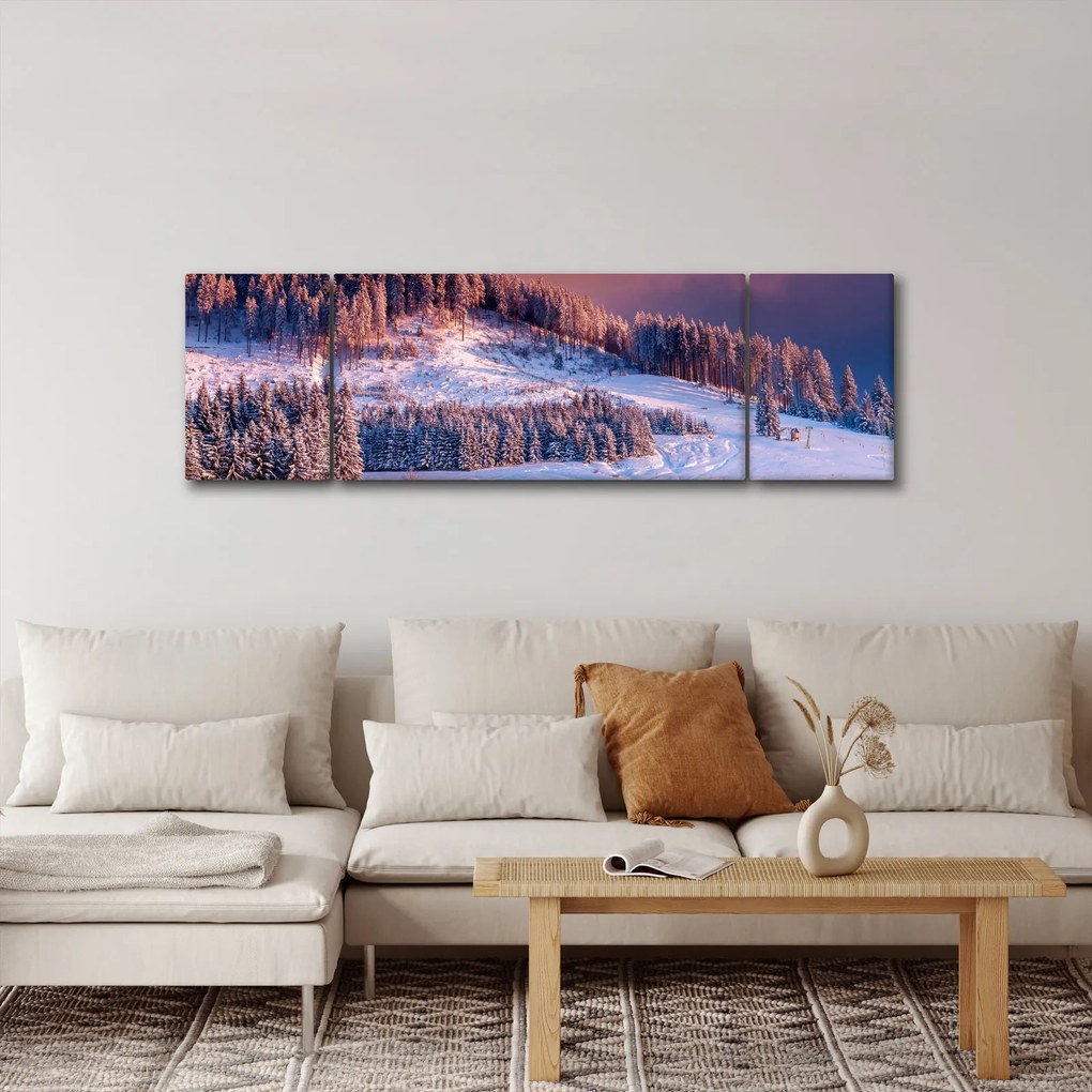 Obraz zimowego krajobrazu (170x50 cm)