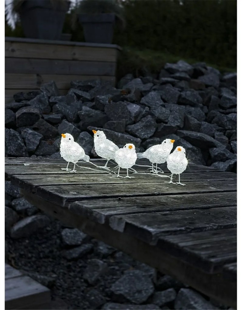 Bożonarodzeniowe dekoracje zewnętrzne Ptaszki, 40 LED, 5 szt.
