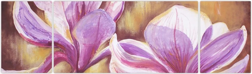 Obraz - Kwiaty magnolii (170x50 cm)