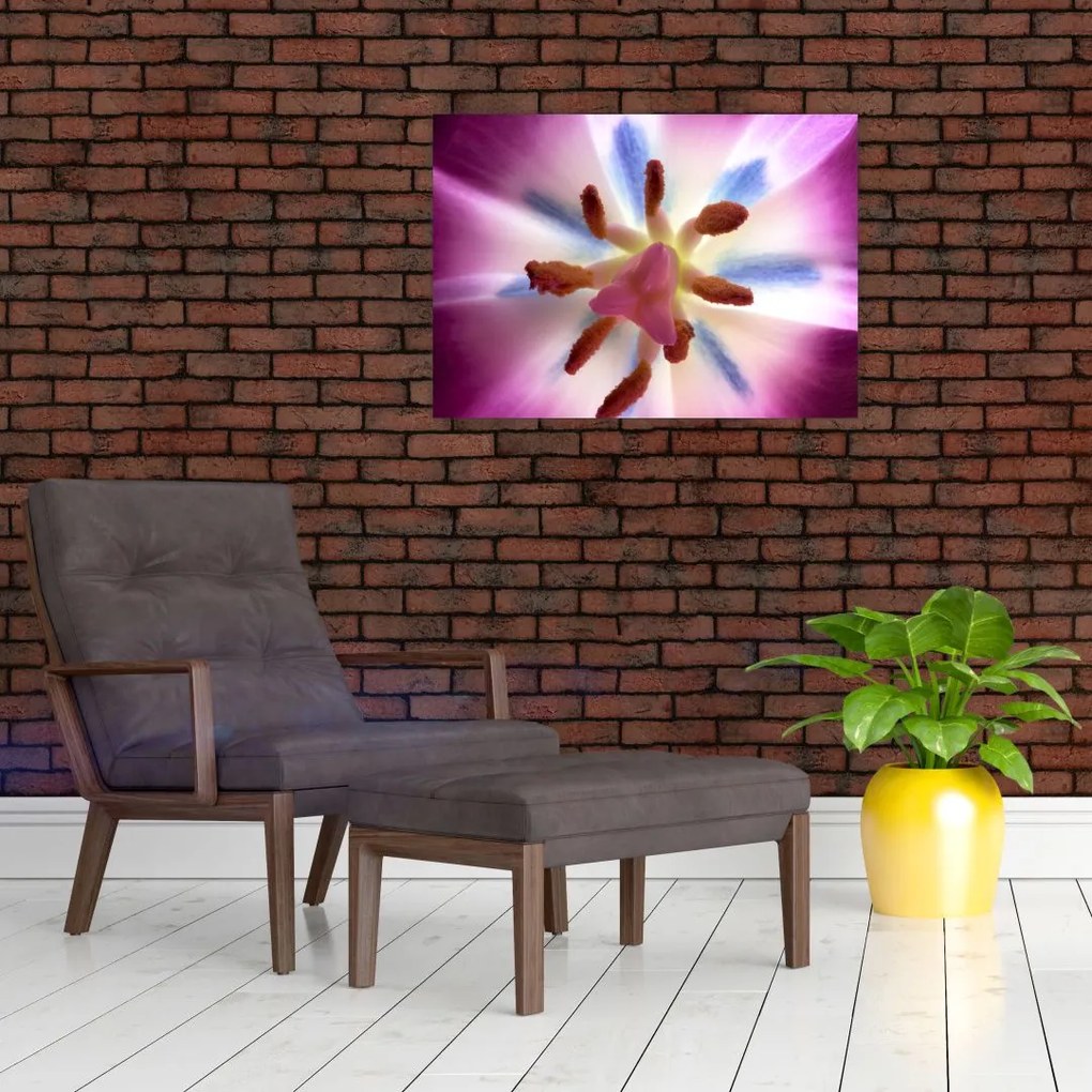 Obraz na szkle - Kwiat tulipana w szczegółach (70x50 cm)