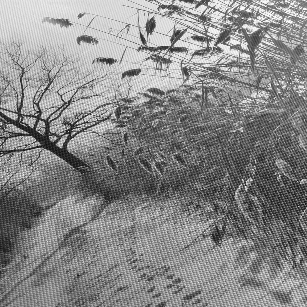 Obraz - Pola w zimie (170x50 cm)